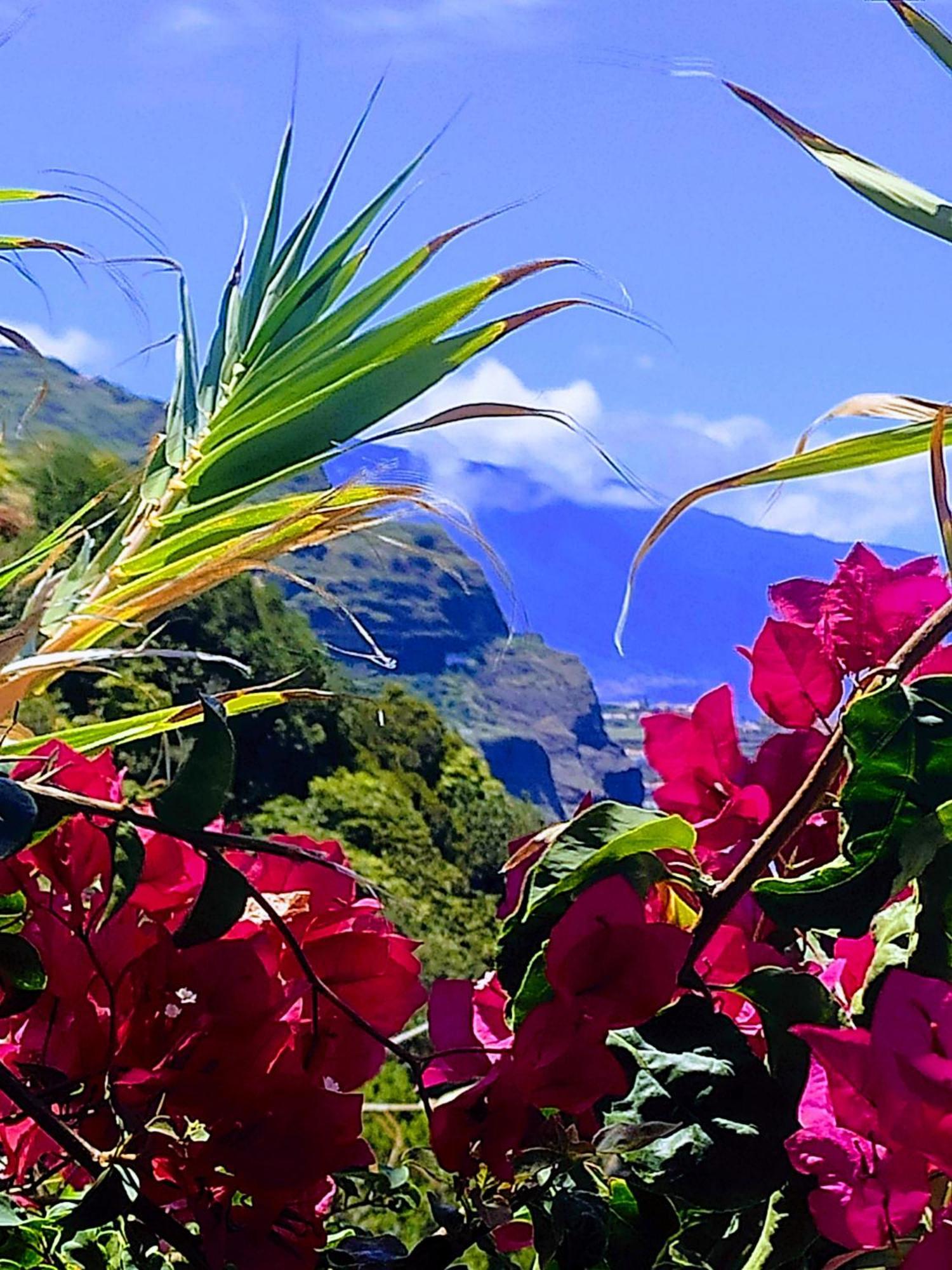 Bluegreen Arco da Calheta  Dış mekan fotoğraf